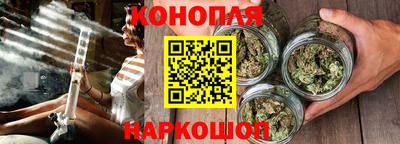 сатива Гусиноозёрск