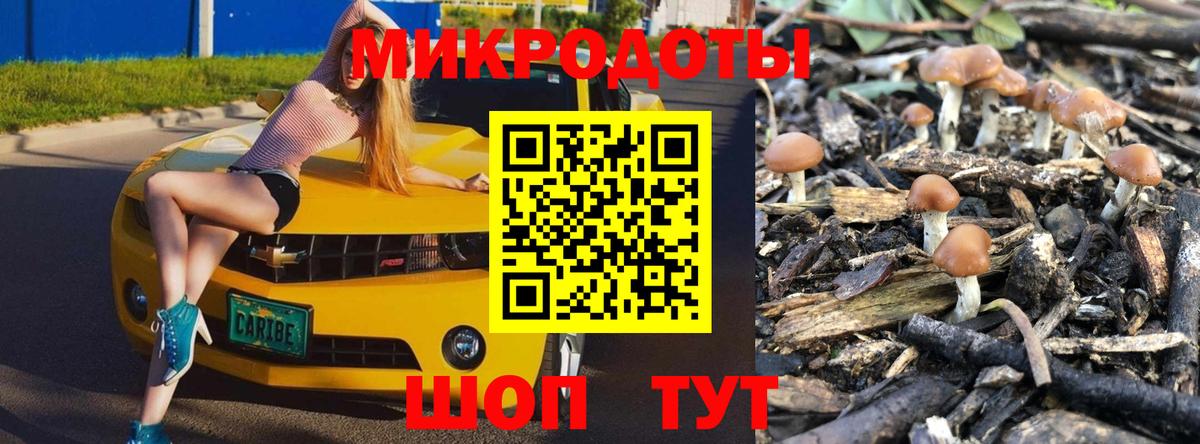 Галлюциногенные грибы ЛСД  Вход с VPN  Хасавюрт 