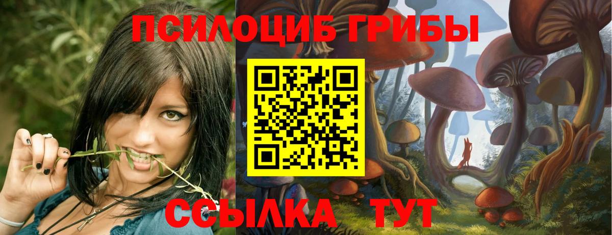 Псилоцибиновые грибы мицелий Хасавюрт